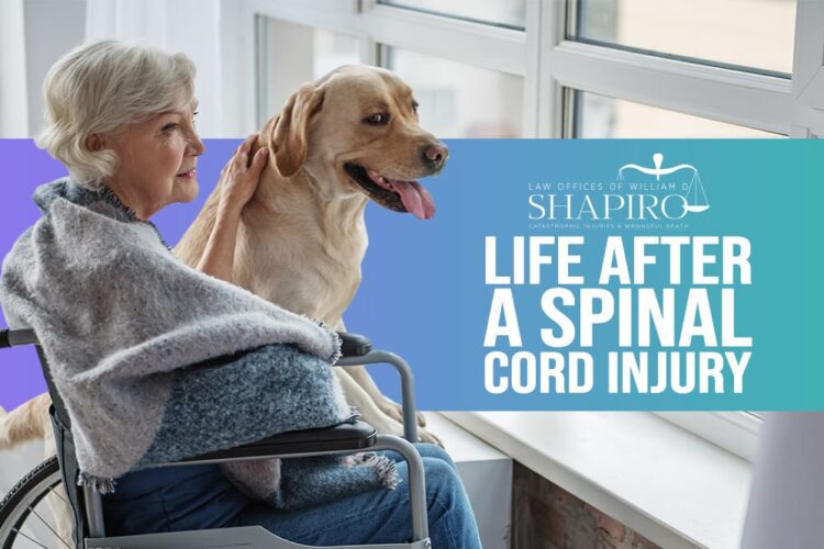 William-D.-Shapiro-07-19-life-after-a-spinal-injury copy William-D.-Shapiro-07-19-life-after-a-spinal-injury copy